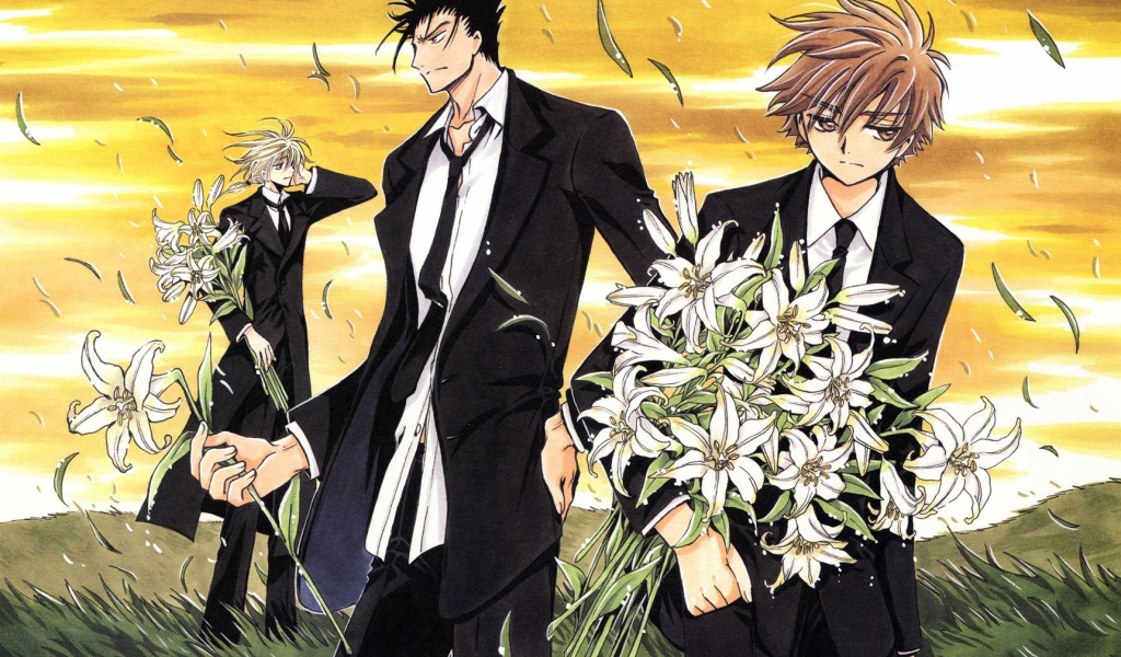 Хроника Крыльев