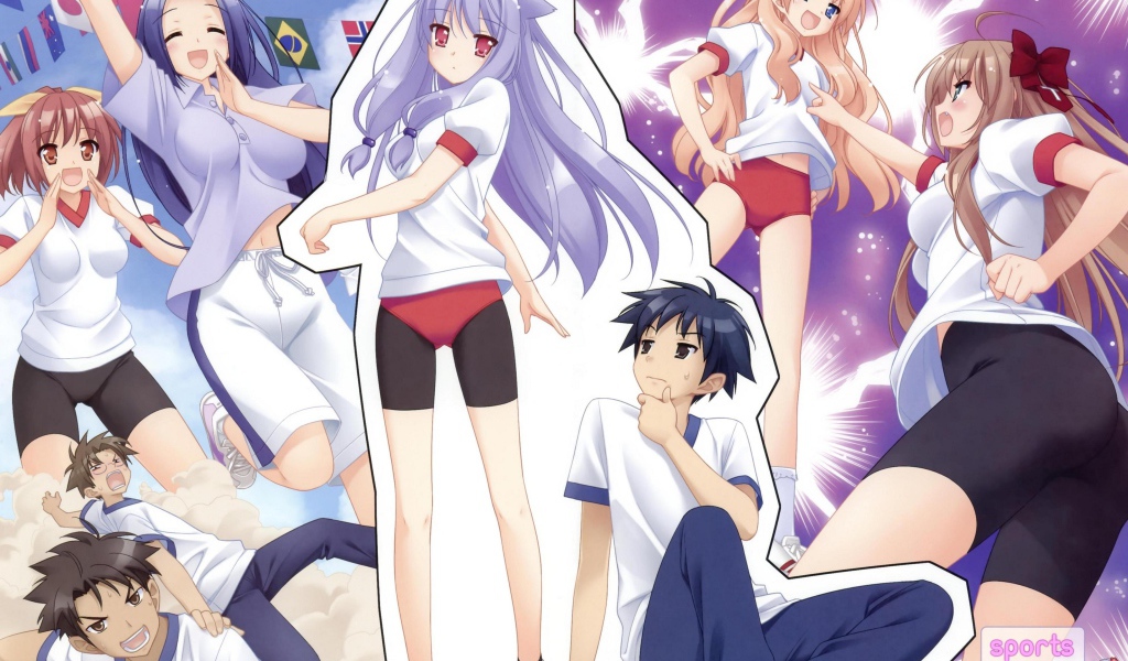 Нашествие бродячих кошек!