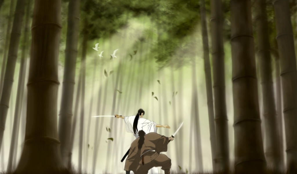 Манускрипт ниндзя