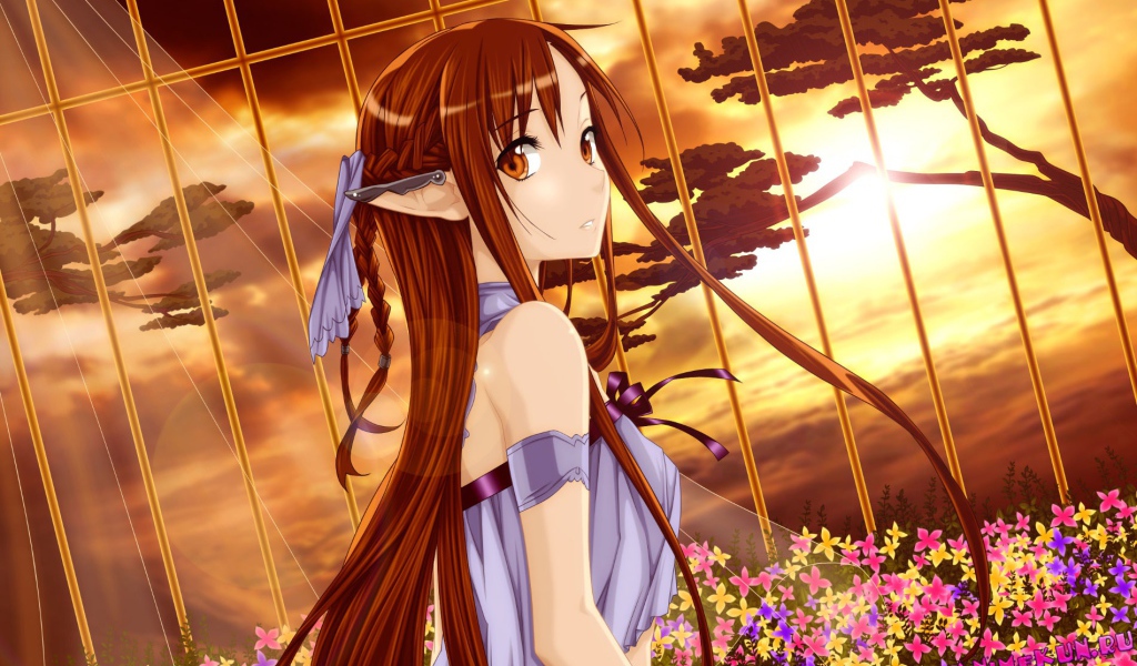 Молчаливая Морита