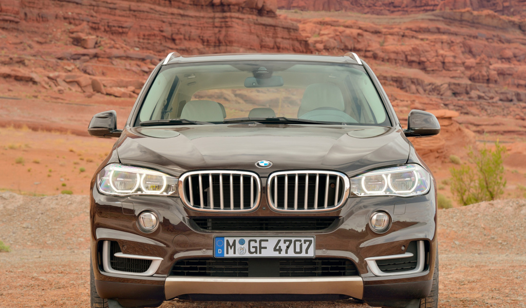 Коричневый BMW X4 кроссовер