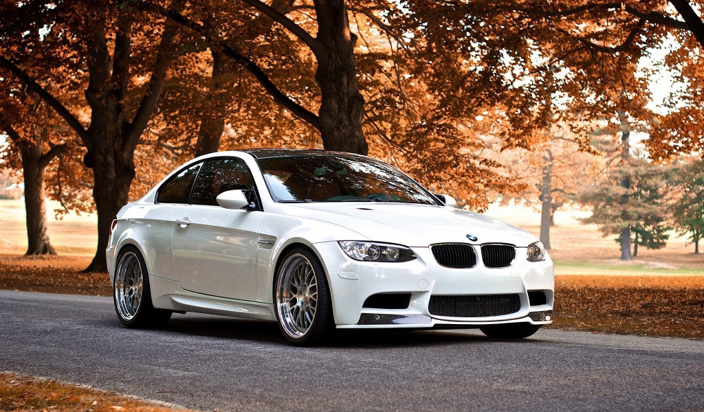 Белый BMW В осеннем парке