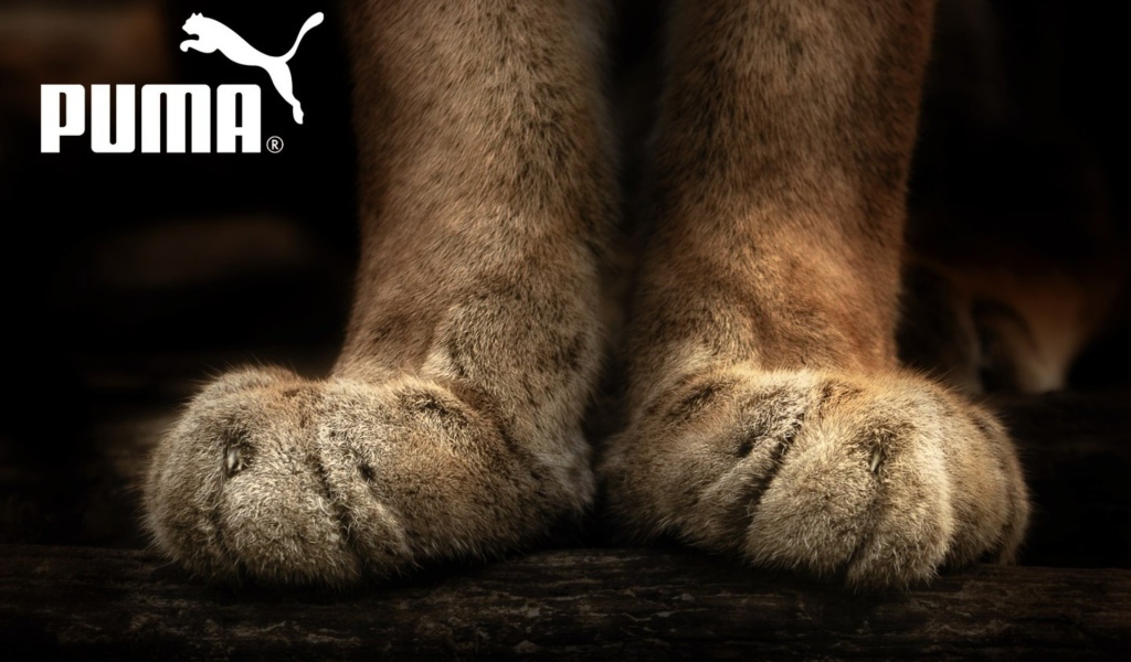 Puma лапы