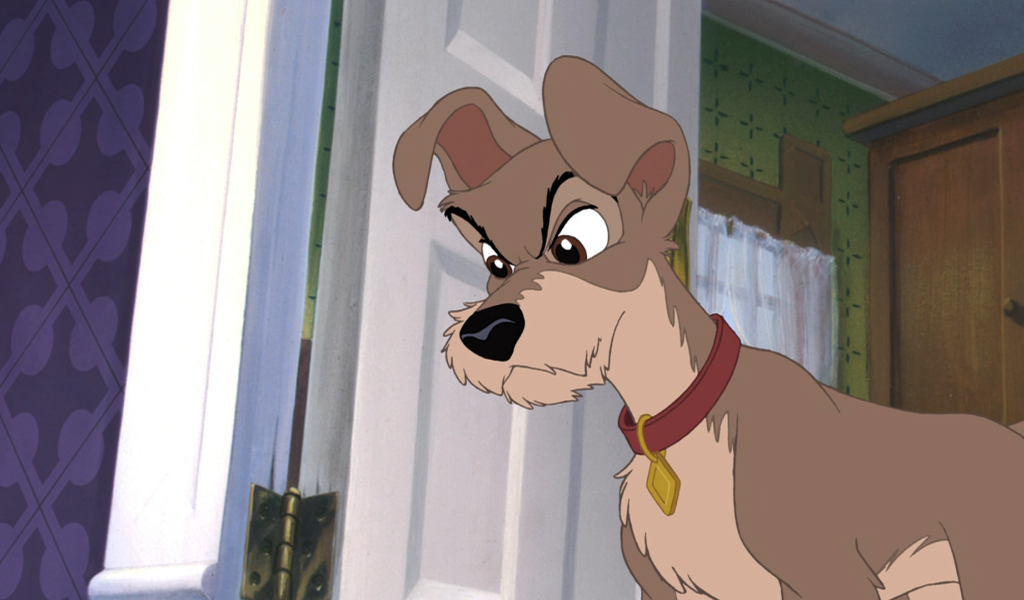 Приключения большого Джеффа