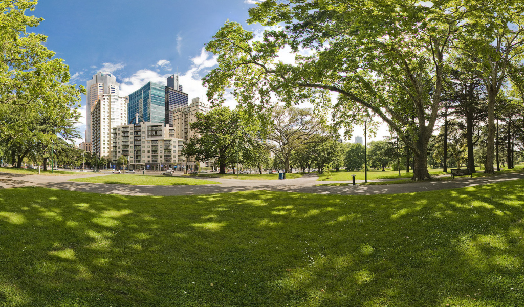 Городской парк летом