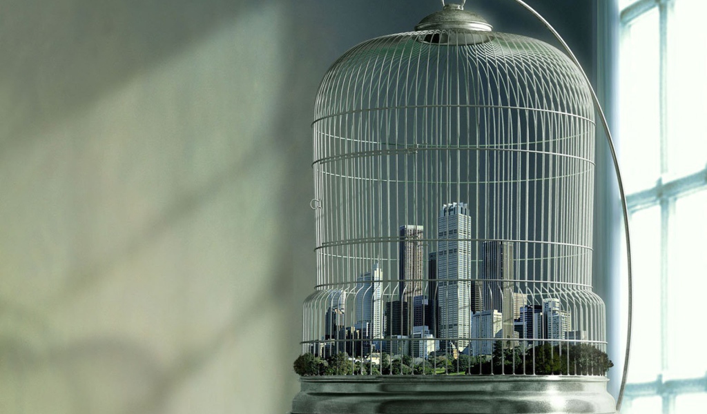 Город в клетке