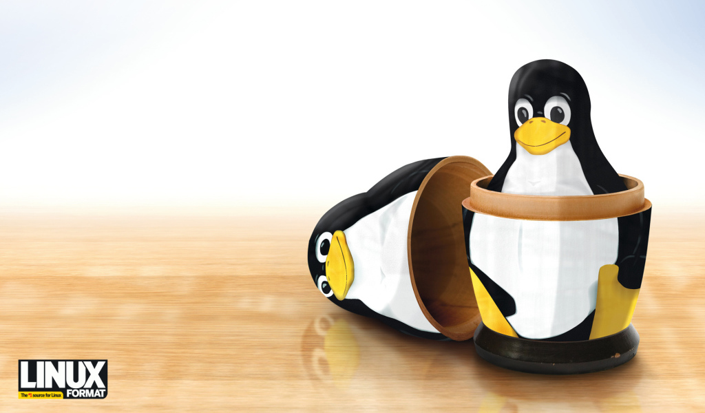 Компьютерная система Линукс