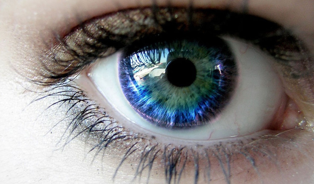 Голубой глаз с отражением