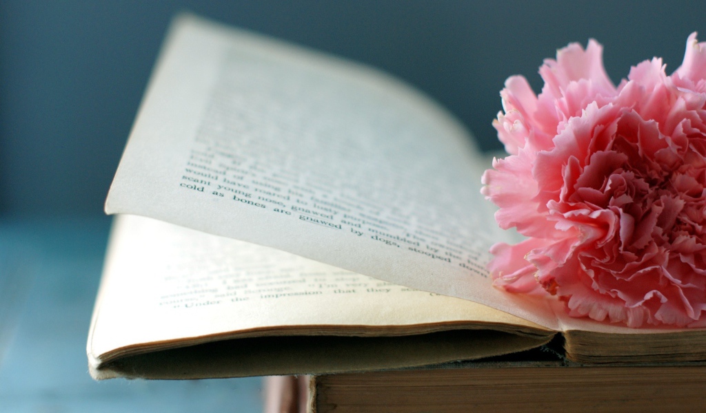 Цветок на книге