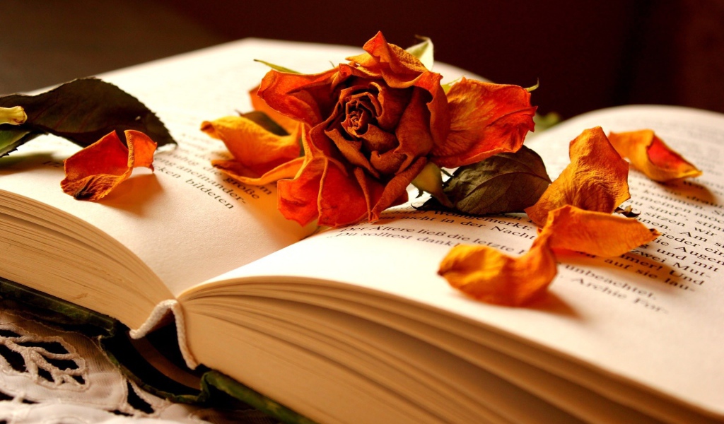 Открытая книга