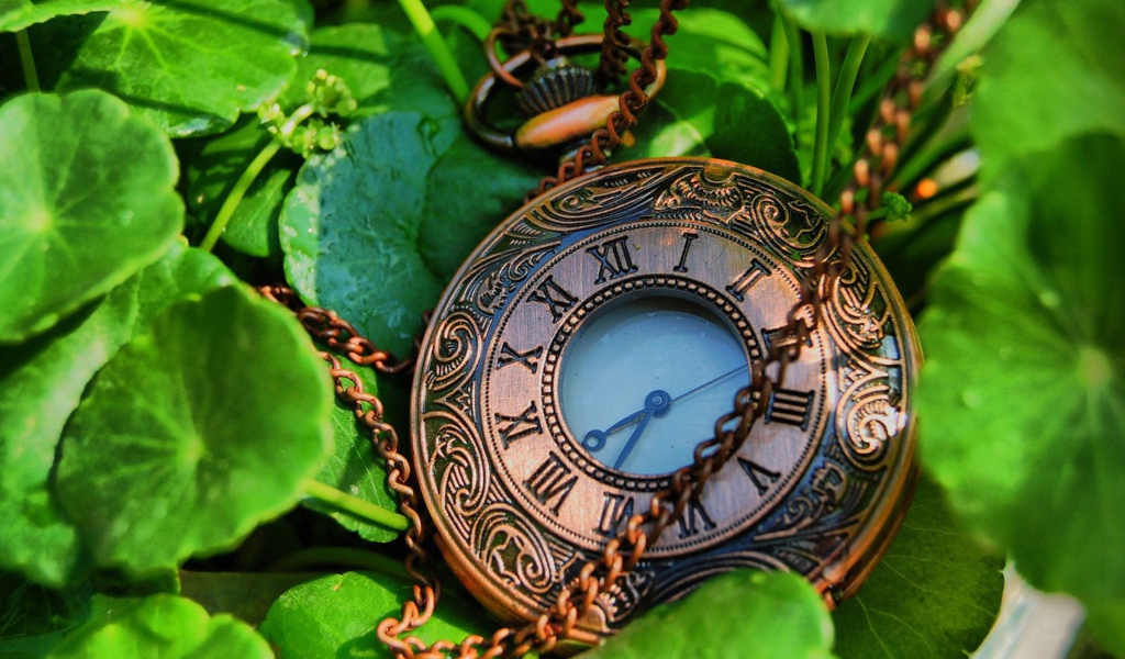 Карманные часы с цепочкой