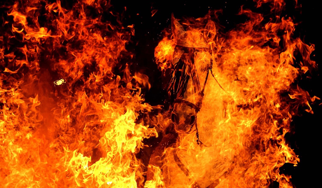 Год огненной лошади