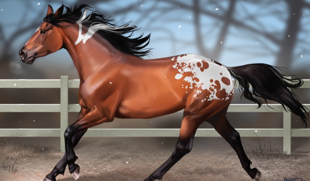 Мустанг лошадь