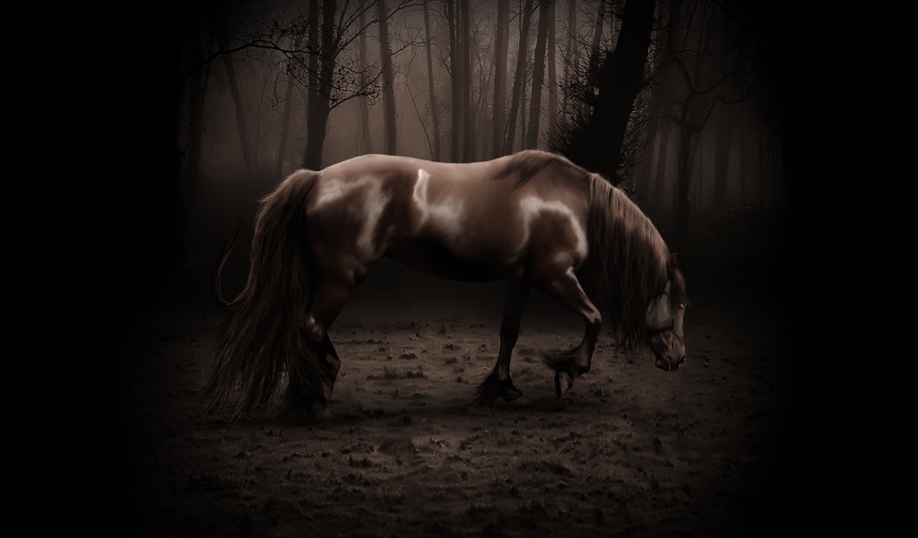 Старая лошадь