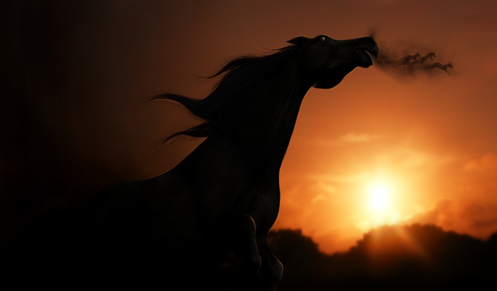Силуэт лошади