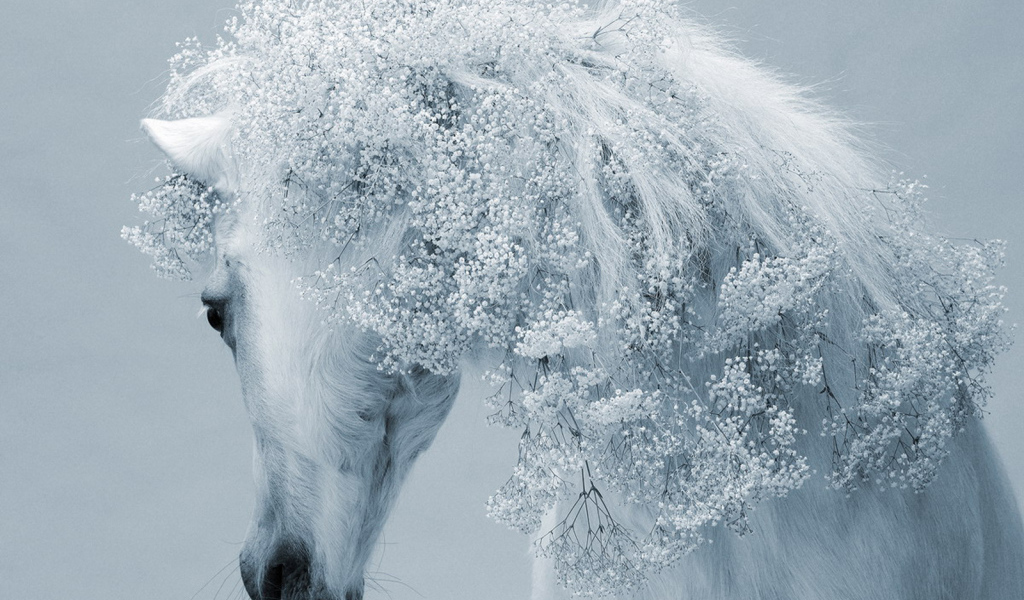 Зимняя лошадь