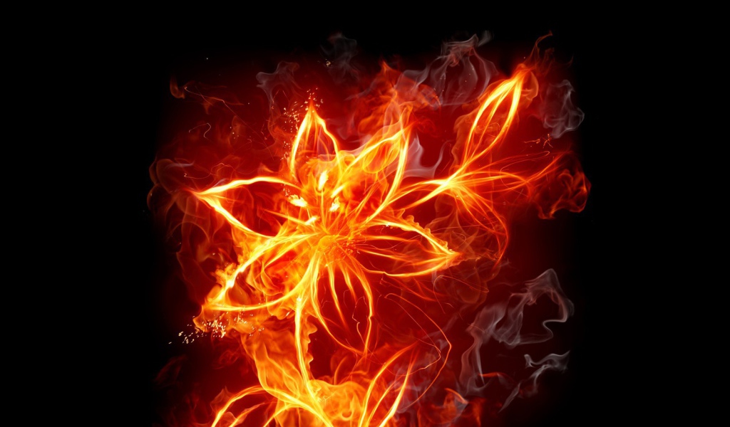 Фантазия Огненный цветок