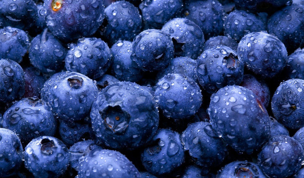 Голубика в капельках воды