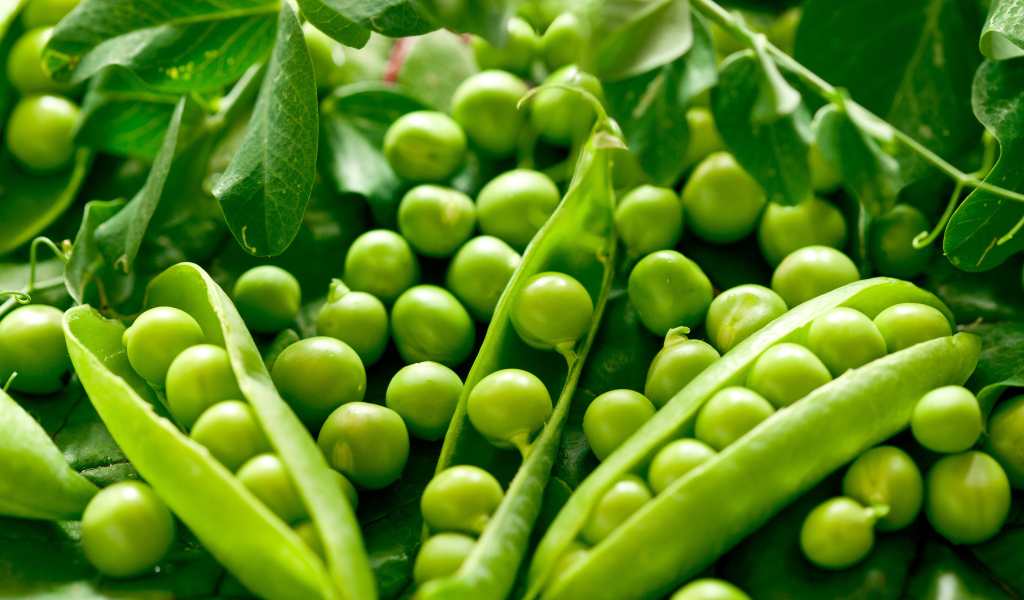 Зеленый горошек в стручках