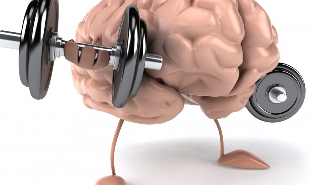 Тренировка мозгов