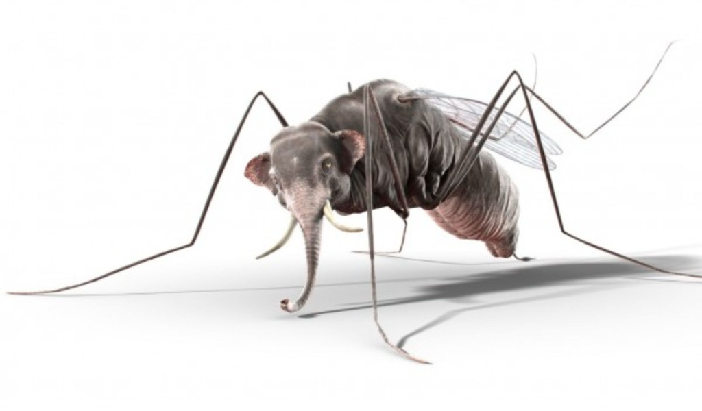 Комар с головой слона