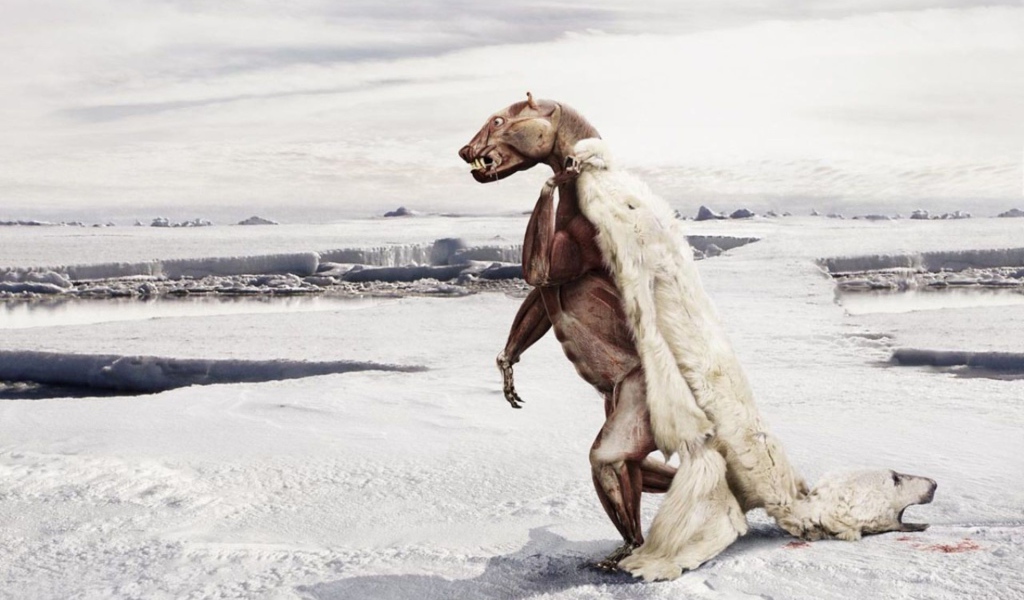 Белому медведю жарко