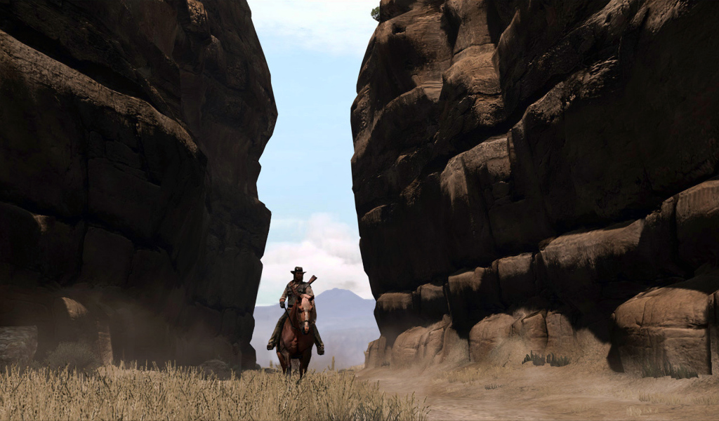 Всадник из видео игры