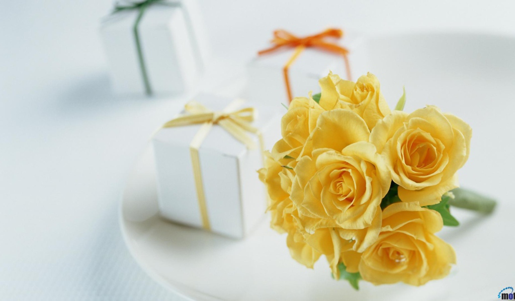 Gifts and yellow roses on birthday