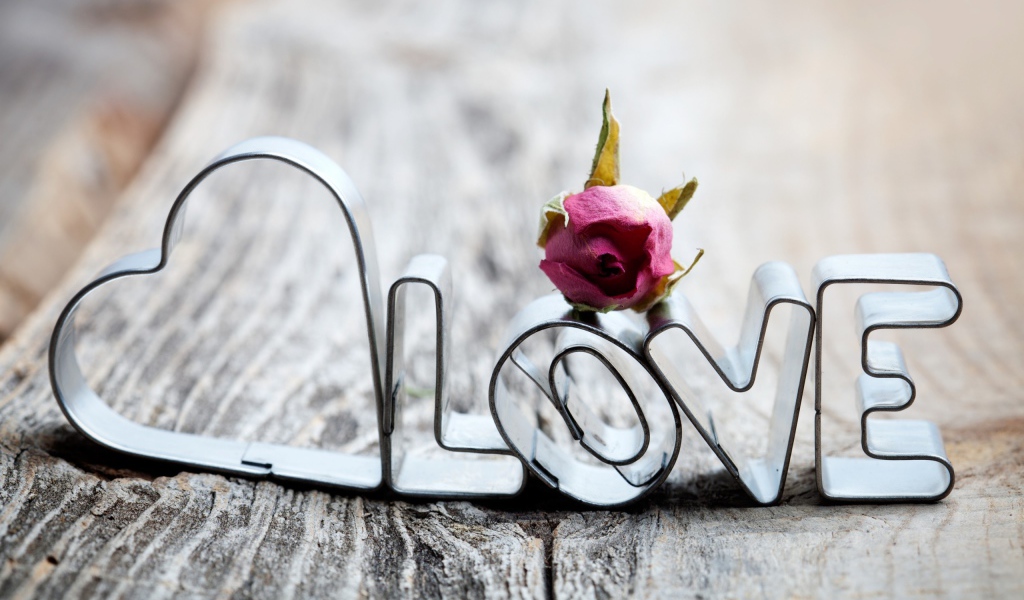 Цветок и любовь