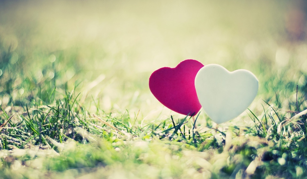 Два сердечка на траве