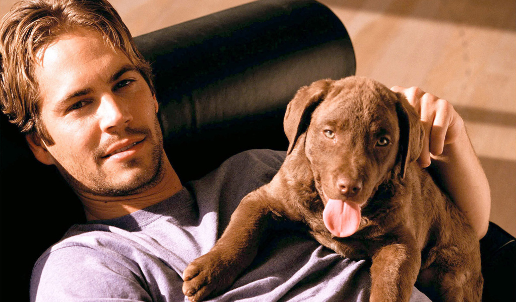 Пол Уокер актер фильма Форсаж и его собака