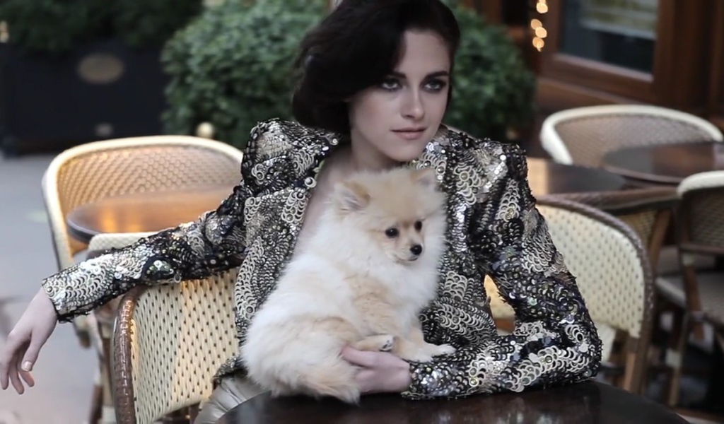 Актриса Кристен с собакой