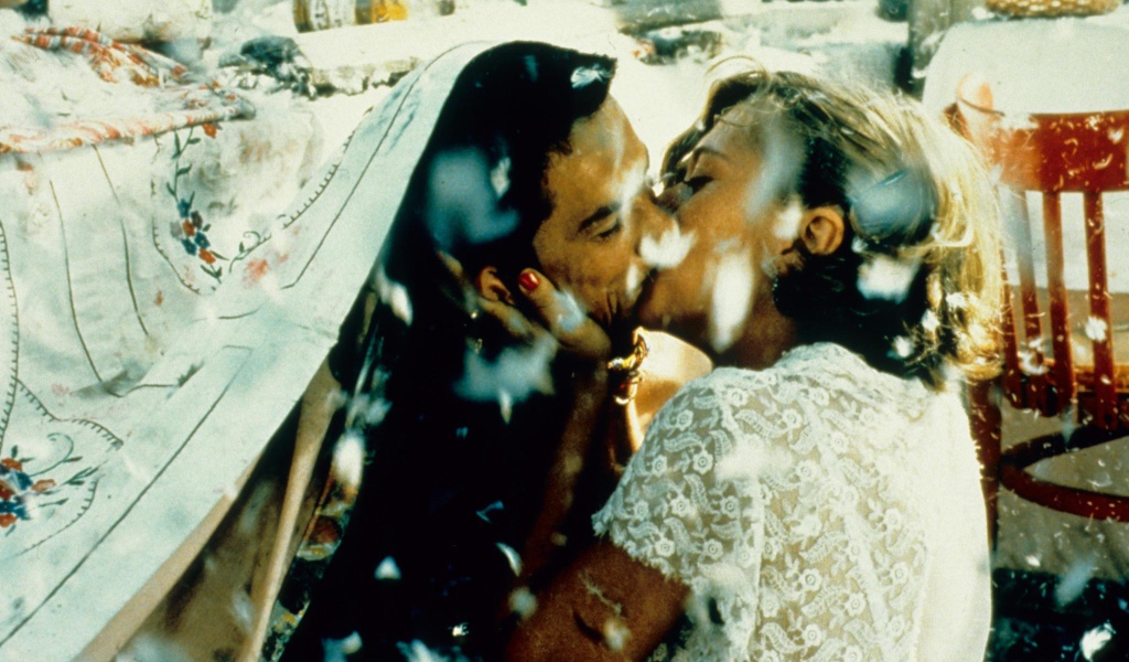 Чёрная кошка, белый кот