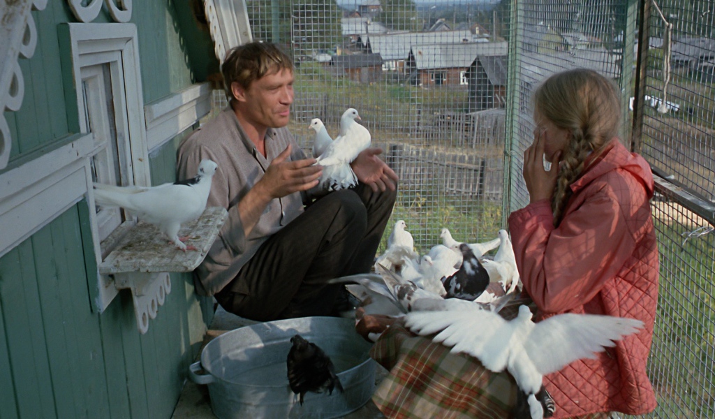 Любовь и голуби