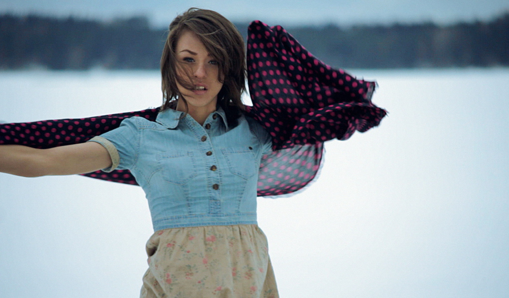 Iowa на фоне снега