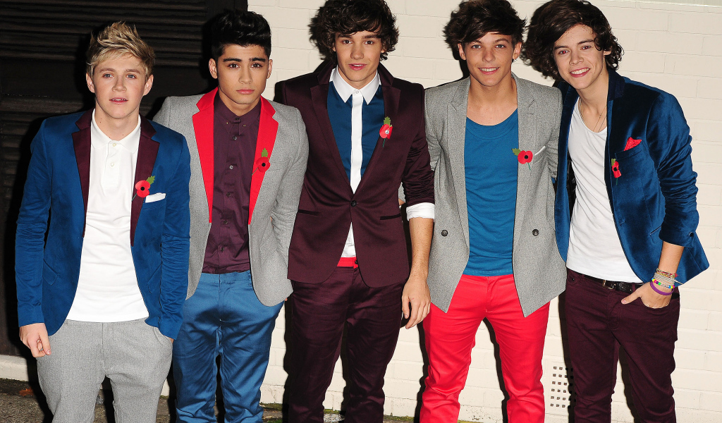 One Direction на вечеринке