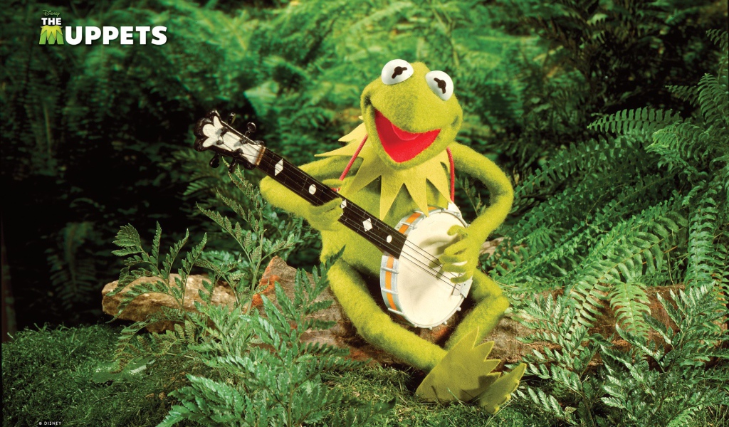 Лягушка с банджо