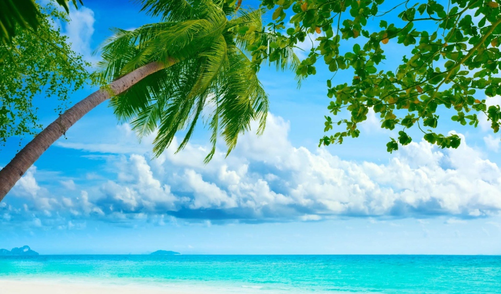 Пляж у голубого океана