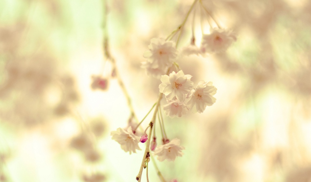 Цветочная веточка