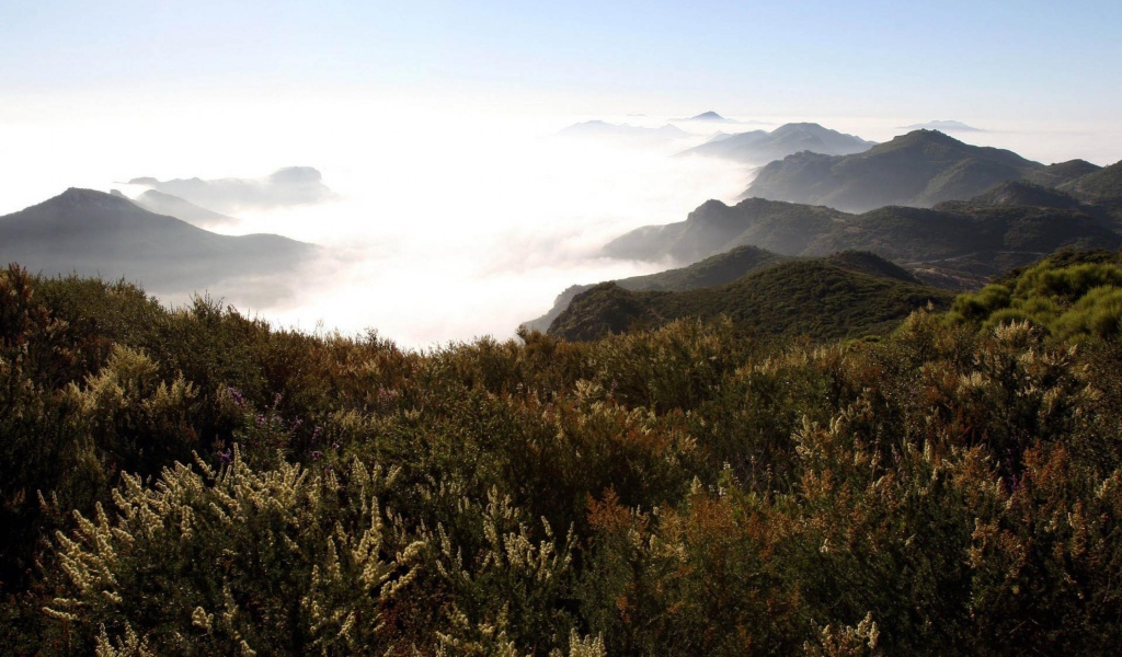 Горы в туманых облаках