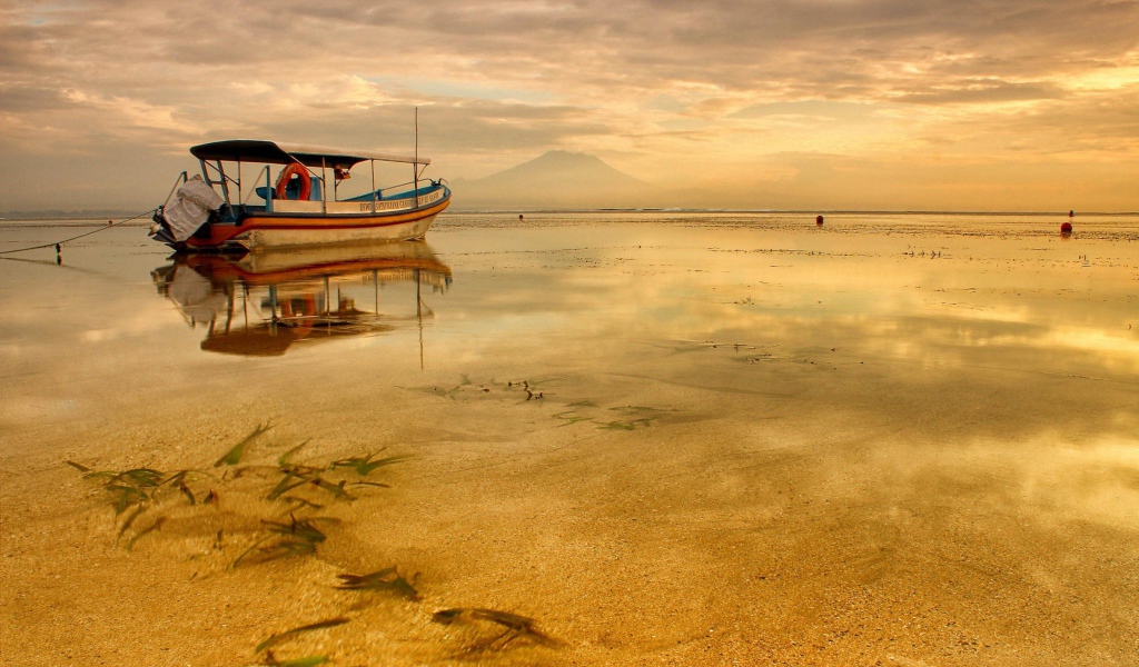 Тихое утро на озере