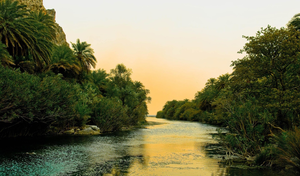 Река и пальмы