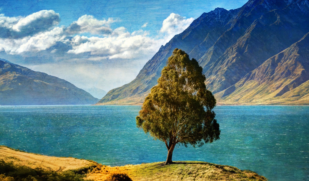 Дерево у озера