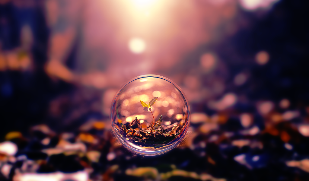 Росток под стеклом