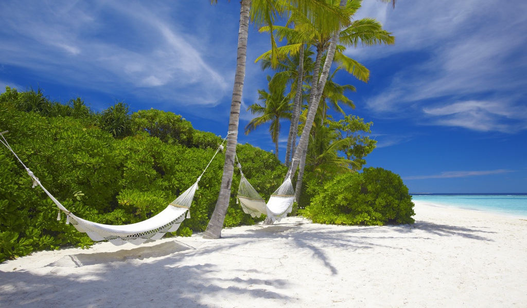Гамаки подвешены на пальмах