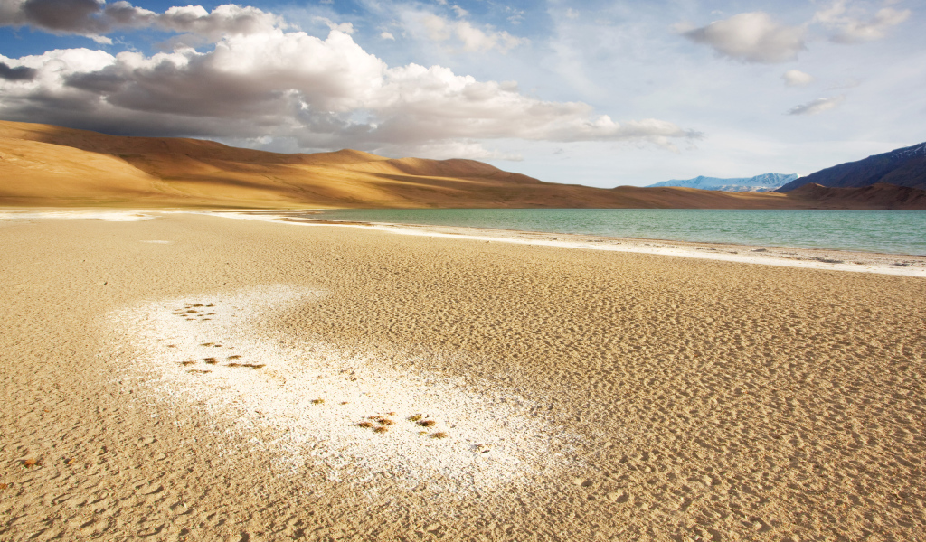 Чистый морской пляж