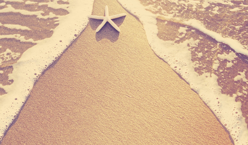 Морская звезда на пляже