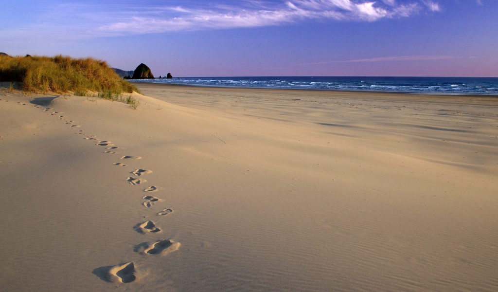 Следы на песке