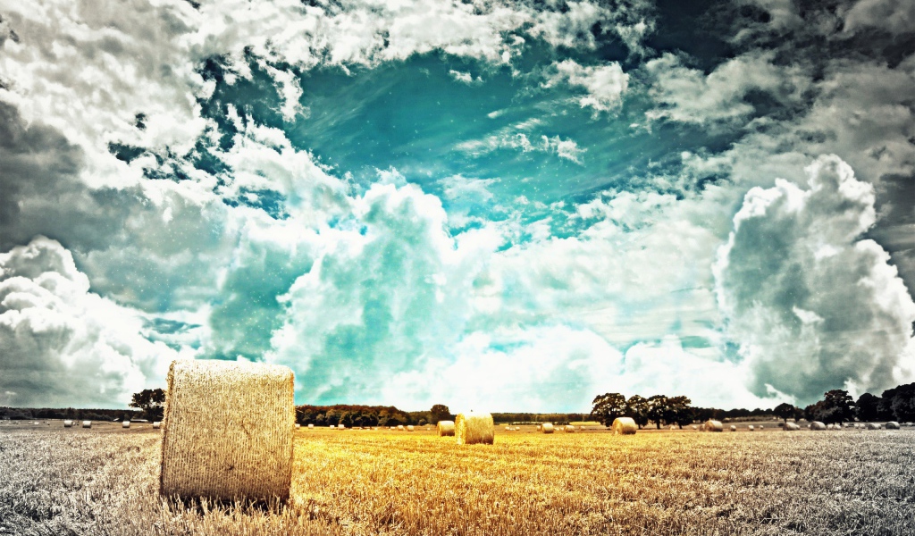 Тучи над полем