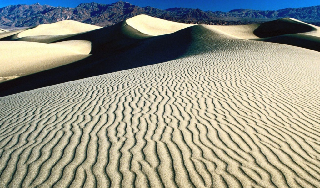 Dunes and sand dunes in a desert